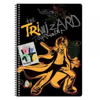 ΤΕΤΡΑΔΙΟ SPIRAL 2 ΘΕΜΑΤΩΝ 17x25 HARRY POTTER ASSORTED ΤΕΤΡΑΔΙΟ SPIRAL 2 ΘΕΜΑΤΩΝ 17x25 HARRY POTTER ASSORTED