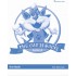 THE CAT IS BACK JUNIOR B (TEST BOOK)