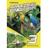AMAZING ENGLISH 3 (GRAMMAR INTERNATIONAL)