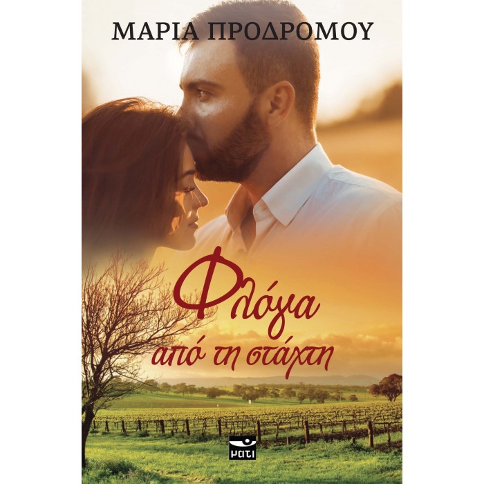 ΦΛΟΓΑ ΑΠΟ ΤΗ ΣΤΑΧΤΗ ΦΛΟΓΑ ΑΠΟ ΤΗ ΣΤΑΧΤΗ