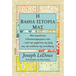 Η ΒΑΘΙΑ ΙΣΤΟΡΙΑ ΜΑΣ Η ΒΑΘΙΑ ΙΣΤΟΡΙΑ ΜΑΣ