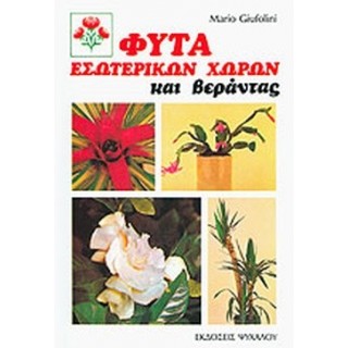 ΦΥΤΑ ΕΣΩΤΕΡΙΚΩΝ ΧΩΡΩΝ ΚΑΙ ΒΕΡΑΝΤΑΣ ΦΥΤΑ ΕΣΩΤΕΡΙΚΩΝ ΧΩΡΩΝ ΚΑΙ ΒΕΡΑΝΤΑΣ