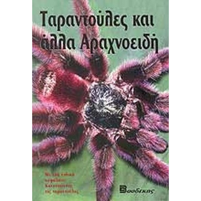 ΤΑΡΑΝΤΟΥΛΕΣ ΚΑΙ ΑΛΛΑ ΑΡΑΧΝΟΕΙΔΗ ΤΑΡΑΝΤΟΥΛΕΣ ΚΑΙ ΑΛΛΑ ΑΡΑΧΝΟΕΙΔΗ