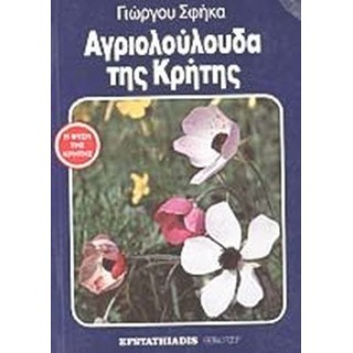 ΑΓΡΙΟΛΟΥΛΟΥΔΑ ΤΗΣ ΚΡΗΤΗΣ