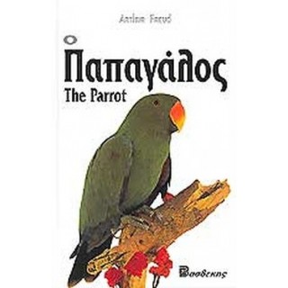 Ο ΠΑΠΑΓΑΛΟΣ Ο ΠΑΠΑΓΑΛΟΣ