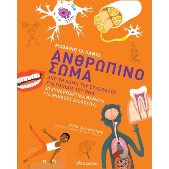 Ανθρώπινο σώμα Ανθρώπινο σώμα