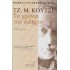 ΤΑ ΧΡΟΝΙΑ ΤΟΥ ΣΙΔΗΡΟΥ
