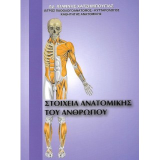 ΣΤΟΙΧΕΙΑ ΑΝΑΤΟΜΙΚΗΣ ΤΟΥ ΑΝΘΡΩΠΟΥ ΣΤΟΙΧΕΙΑ ΑΝΑΤΟΜΙΚΗΣ ΤΟΥ ΑΝΘΡΩΠΟΥ