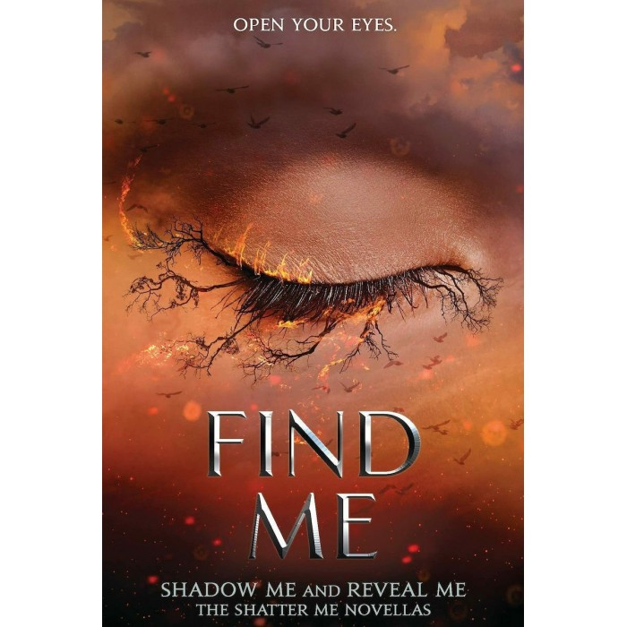 SHATTER ME 4.5 - 5.5: FIND ME SHATTER ME 4.5 - 5.5: FIND ME