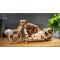 UGEARS ΜΟΤΟΣΥΚΛΕΤΑ VM-02 ΞΥΛΙΝΟ ΜΗΧΑΝΙΚΟ 3D ΠΑΖΛ (12082) UGEARS ΜΟΤΟΣΥΚΛΕΤΑ VM-02 ΞΥΛΙΝΟ ΜΗΧΑΝΙΚΟ 3D ΠΑΖΛ (12082)