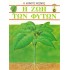 Η ΖΩΗ ΤΩΝ ΦΥΤΩΝ