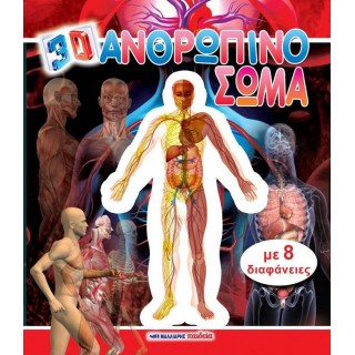 ΑΝΘΡΩΠΙΝΟ ΣΩΜΑ (3D) ΑΝΘΡΩΠΙΝΟ ΣΩΜΑ (3D)