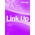Link Up Pre - Intermediate Workbook