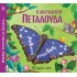 Η ΑΚΑΤΑΔΕΚΤΗ ΠΕΤΑΛΟΥΔΑ- ΜΙΚΡΕΣ ΙΣΤΟΡΙΕΣ ΜΕ ΖΩΑΚΙΑ 12